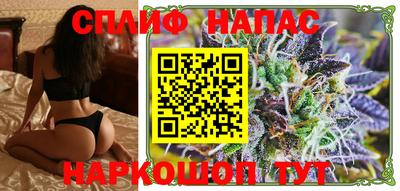дмт Гатчина