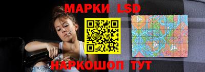 дмт Гатчина