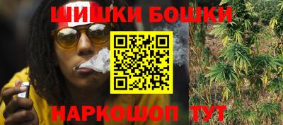 дмт Гатчина