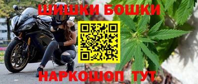 дмт Гатчина