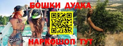 дмт Гатчина