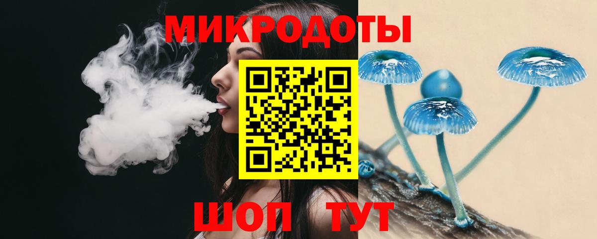 Галлюциногенные грибы Psilocybine cubensis  купить  цена  Юрга  Вход с VPN 